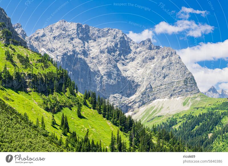 Landschaft im Rißtal nahe der Eng Alm in Österreich Alpen Gebirge Karwendel Tirol Berg Aussicht Engtal Natur Gipfel Sommer Vomp Schwaz Baum Wald Wiese Gras