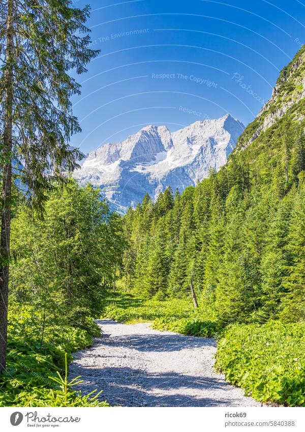 Landschaft  im Rißtal bei der Eng Alm in Österreich Alpen Gebirge Karwendel Tirol Berg Engtal Vomp Schwaz Natur Gipfel Sommer Baum Wald Wolken Himmel grün blau