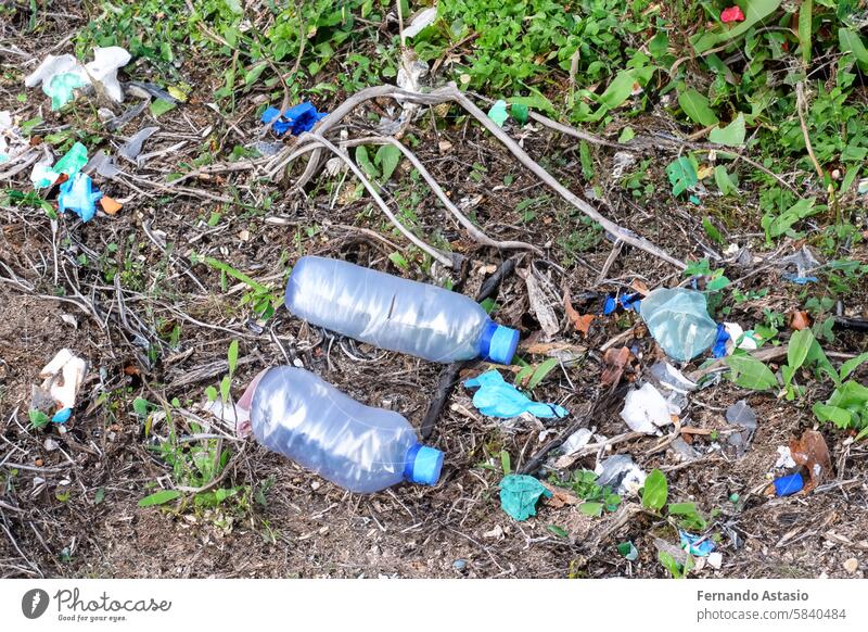 Abfälle. Abfälle. Müll in der Natur. Gruppe von freiwilligen Umweltschützern, die Plastikmüll im Park aufsammeln. Aktivisten, die Müll sammeln, um den Planeten zu schützen, Verschmutzung zu vermeiden und die Umwelt zu retten. Basuraleza.