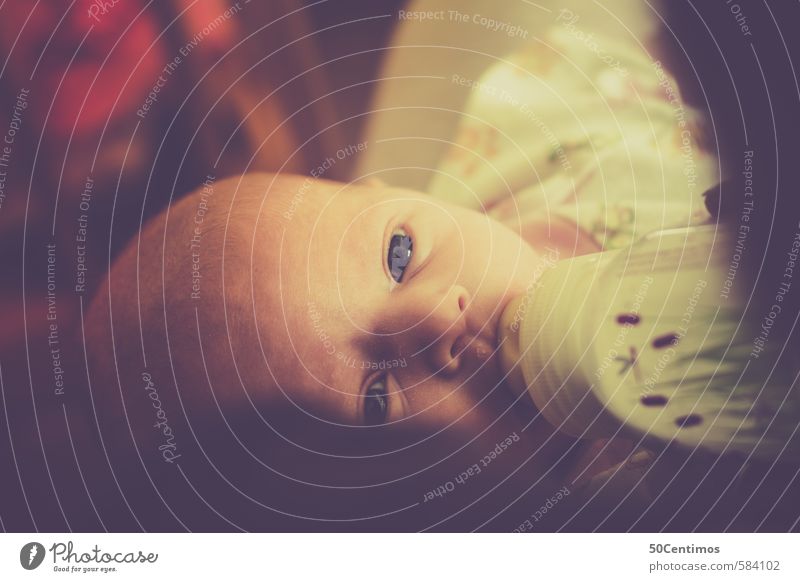 Baby mit offenen Augen wird mit Fläschchen gestillt Stil Freude Glück Kind Kopf Gesicht 1 Mensch 0-12 Monate flasche Schnuller entdecken Essen füttern hören