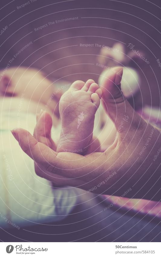 kleiner Babyfuss in Mamas Hand Reichtum Körperpflege Maniküre Gesundheit Wohlgefühl Mutter Erwachsene Finger Beine Fuß 1 Mensch 2 0-12 Monate 18-30 Jahre
