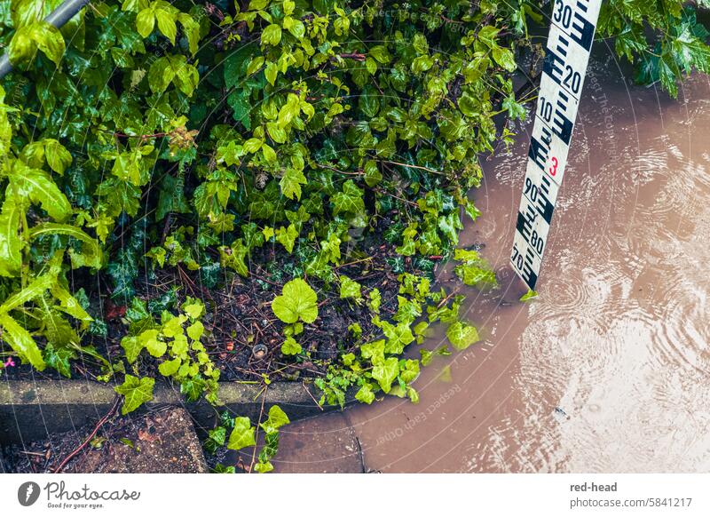 Wasserpegel bei Hochwasser an Treppe, braunes Flusswasser mit Kreisen von Regentropfen Messlatte Unwetter Flusspegel Schifffahrt