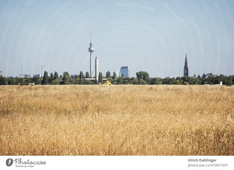 Alex am Horizont mit trockener Wiese im Vordergrund Sommer in Berlin Tempelhofer Feld Landschaft Panorama Freihaeit