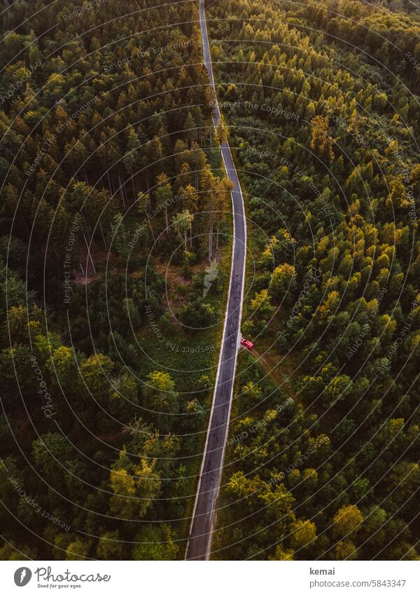 Straße durch den Wald Waldgebiet Waldstück Weg Asphaltstraße grün gelb Herbst Auto parken rot Kurve Weite Drohnenansicht Vogelperspektive