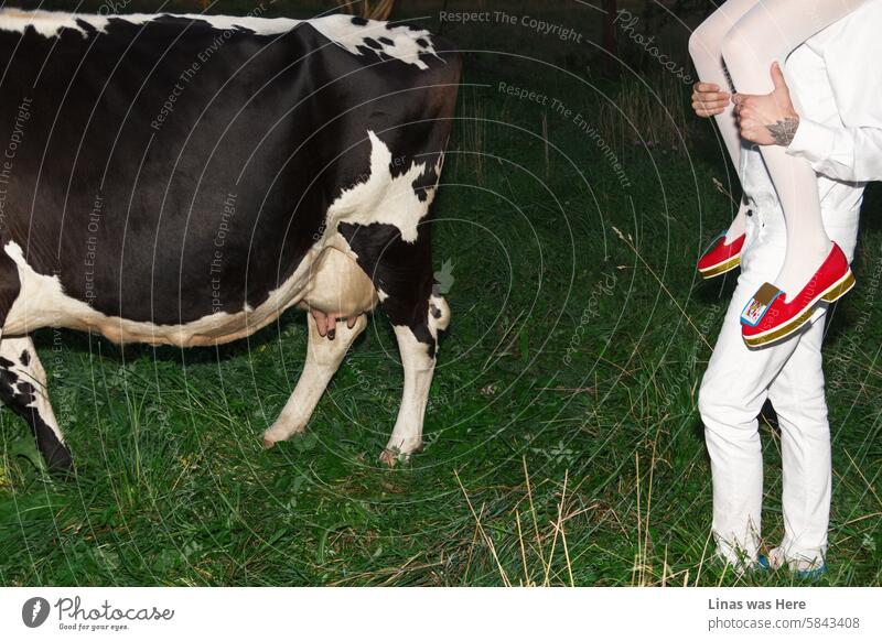 Ein modisches Paar, weiß gekleidet und mit avantgardistischen Schuhen, vergnügt sich auf der grünen Wiese. Mit einer Kuh. Das ist Fernweh im Freien vom Feinsten. In einer wilden Sommernacht.
