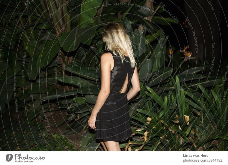 Eine unvergessliche Nacht in Malaga. Ein wunderschönes blondes Mädchen in einem schicken schwarzen Kleid ist umgeben von Palmen und üppigem Grün in einem botanischen Garten bei Nacht. Ihr hübscher Rücken ist sichtbar und verleiht dem Bild einen Hauch von Geheimnis.