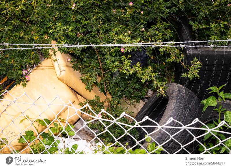 Müllberg hinter einem Zaun mit Stacheldraht, von einem Gebüsch überwuchert Entsorgung Umweltverschmutzung Abfall Verunreinigung Verschmutzung Plastik Soffa