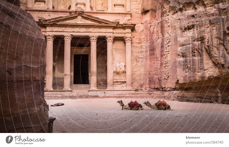 Petra, Jordanien schön Ferien & Urlaub & Reisen Tourismus Kunst Kultur Felsen Stadt Ruine Gebäude Architektur Fassade Stein alt historisch gelb rosa rot