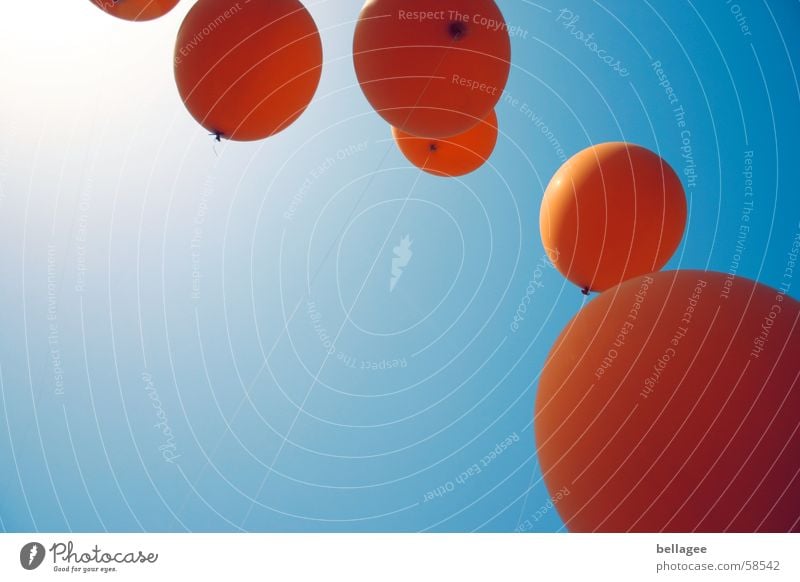 laß sie fliegen... Luftballon Licht Lebensfreude Froschperspektive Gummi Schnur Gute Laune Fröhlichkeit Sommer heiter Halbkreis aufsteigen Horizont orange blau