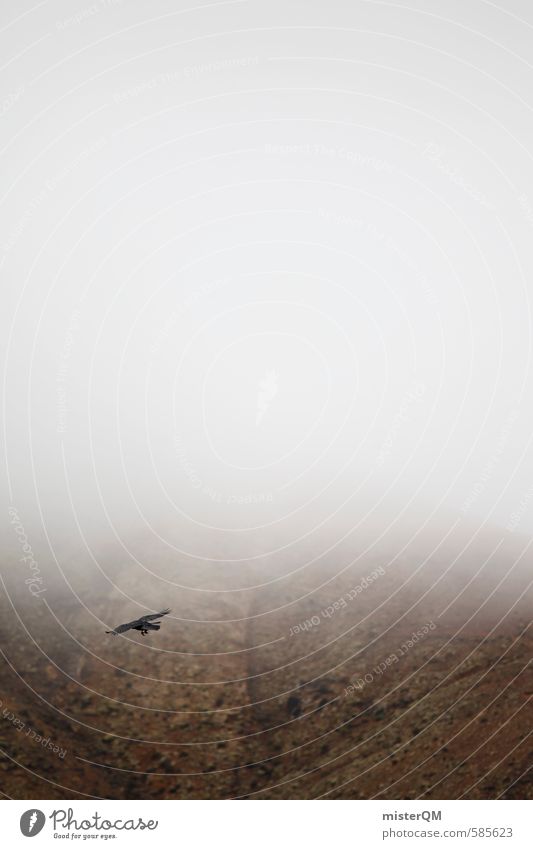 I.love.FV XXXIV Kunst ästhetisch Zufriedenheit dunkel Rabenvögel Nebel Nebelschleier Nebelmeer Nebelstimmung Nebelfeld Vogel Vogelperspektive Farbfoto