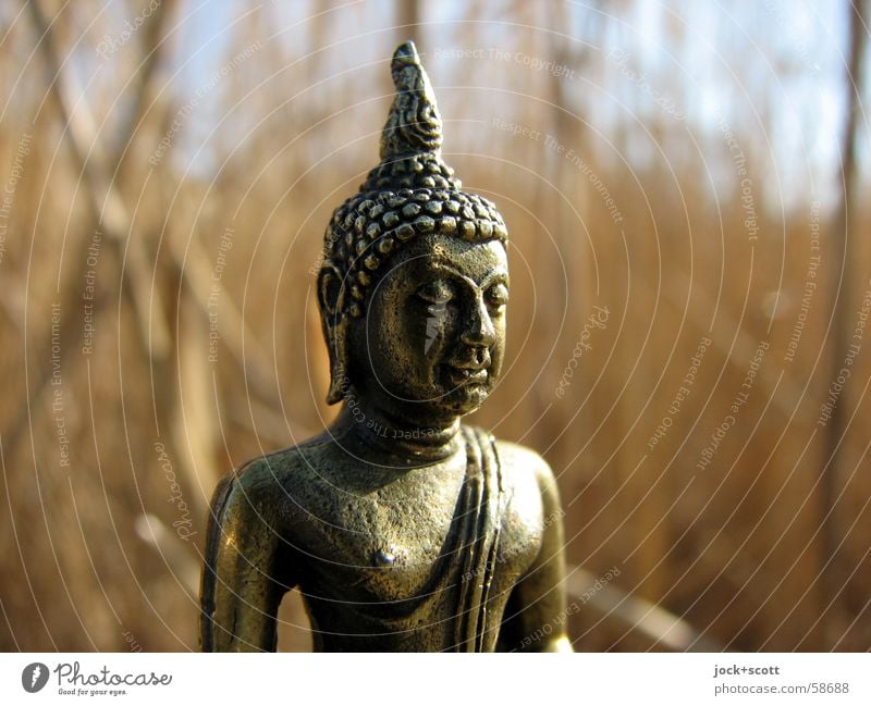 Buddha im Schilf Meditation 1 Schilfrohr Denken Kraft Vertrauen Mitgefühl friedlich Religion & Glaube Messing Philosophie Indien Buddha Statue Gedeckte Farben