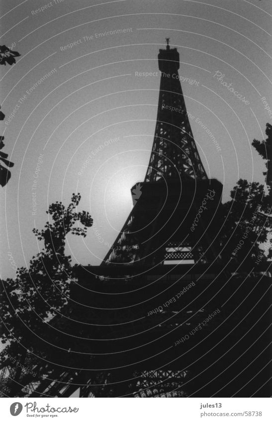eifelturm Tour d'Eiffel Paris Frankreich Sträucher Baum Licht Gegenlicht Froschperspektive Schwarzweißfoto Schatten Architektur