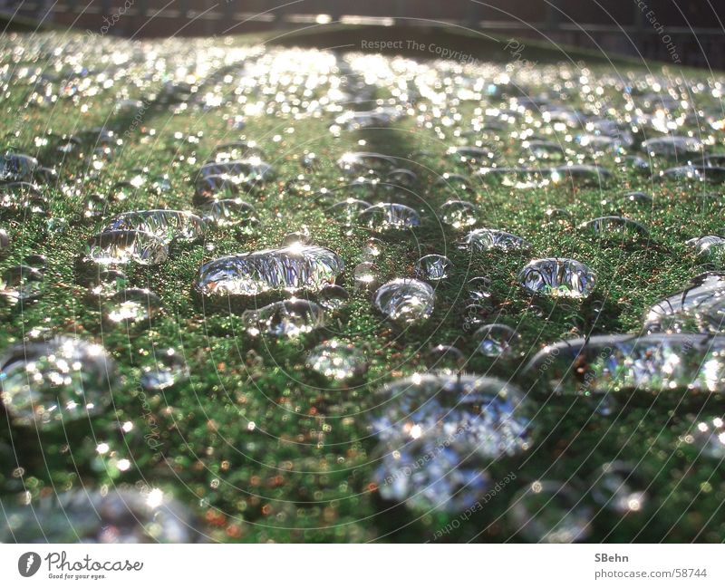 Regentropfen Reflexion & Spiegelung Außenaufnahme Sonne Wetter Deutschland Wassertropfen Detailaufnahme Makroaufnahme