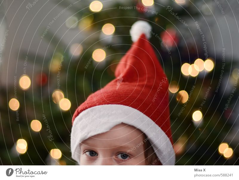 Wichtel Weihnachten & Advent Mensch Kind Kleinkind Kopf Auge 1 3-8 Jahre Kindheit niedlich Neugier Nikolausmütze Weihnachtsmann Weihnachtsbaum Bescherung Spitze