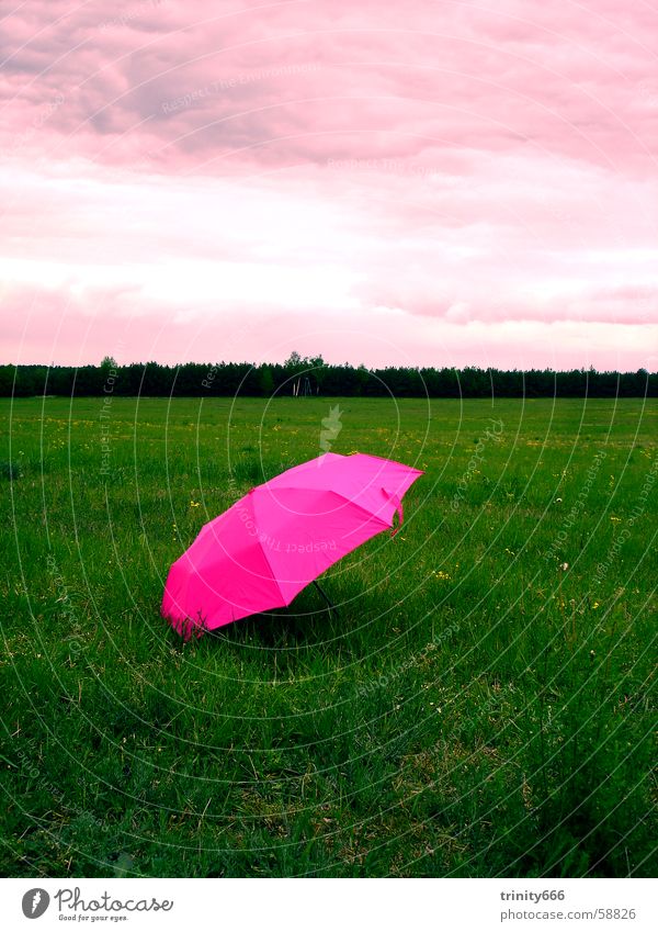 relax Wolken Wiese rosa Regenschirm satt Himmel träumen fade Erholung Ironie seltsam Kontrast heaven sky