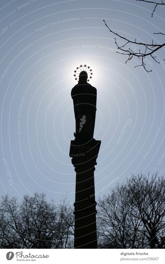 Korona Winter Statue Maria Licht Gegenlicht Gotteshäuser Düsseldorf Garten Park Himmel Säule Baumkrone Stern (Symbol) Schatten