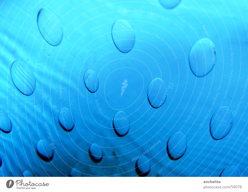 Raum und Zeit Vase Reflexion & Spiegelung Hintergrundbild Makroaufnahme Muster Oval Nahaufnahme Farbe Dekoration & Verzierung blau blue Glas glass reflection