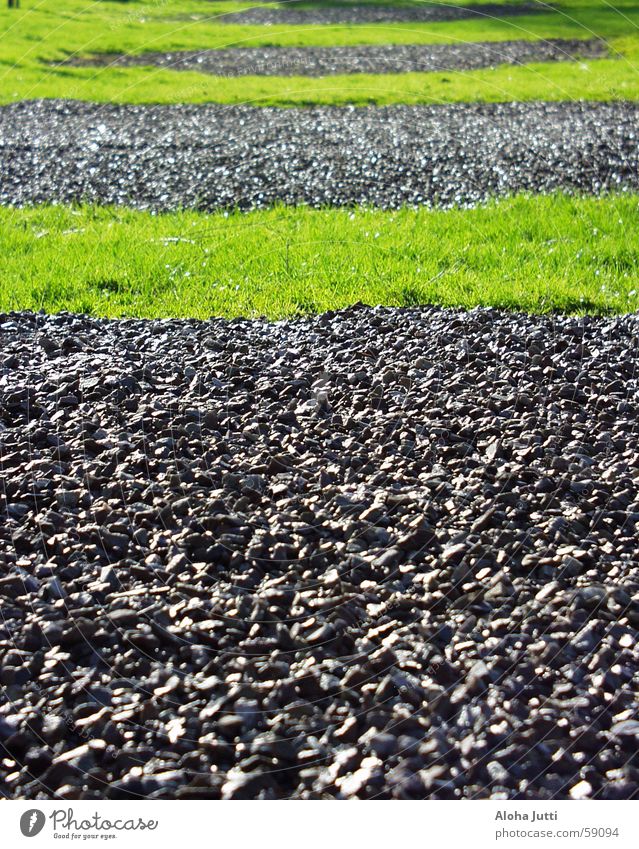 Hmm ..? grün Gras Wiese grau schwarz Campingplatz Senheim Frühling April 2006 Streifen Stein Rasen Kies Außenaufnahme