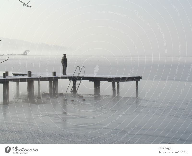Blick in die Ferne Ammersee Herrsching am Ammersee Bayern See Mann Steg Einsamkeit grau Eis Mensch