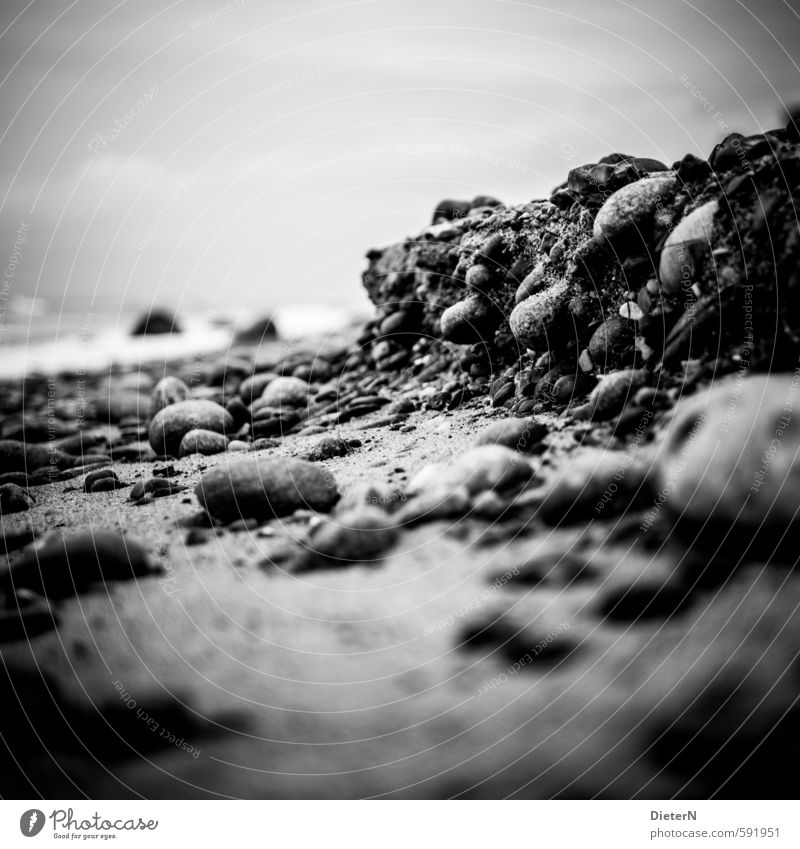 Steilküste Sand Himmel Herbst Ostsee grau schwarz weiß Stein Strand Detailaufnahme Schwarzweißfoto Außenaufnahme Menschenleer Textfreiraum links