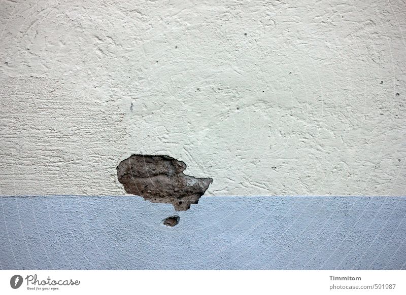 Erstes 2014 | Isegrim in Not. Mauer Wand einfach kaputt blau grau schwarz Bild Wolf Kopf Wasserlinie Putz nass Phantasie Farbfoto Gedeckte Farben Außenaufnahme