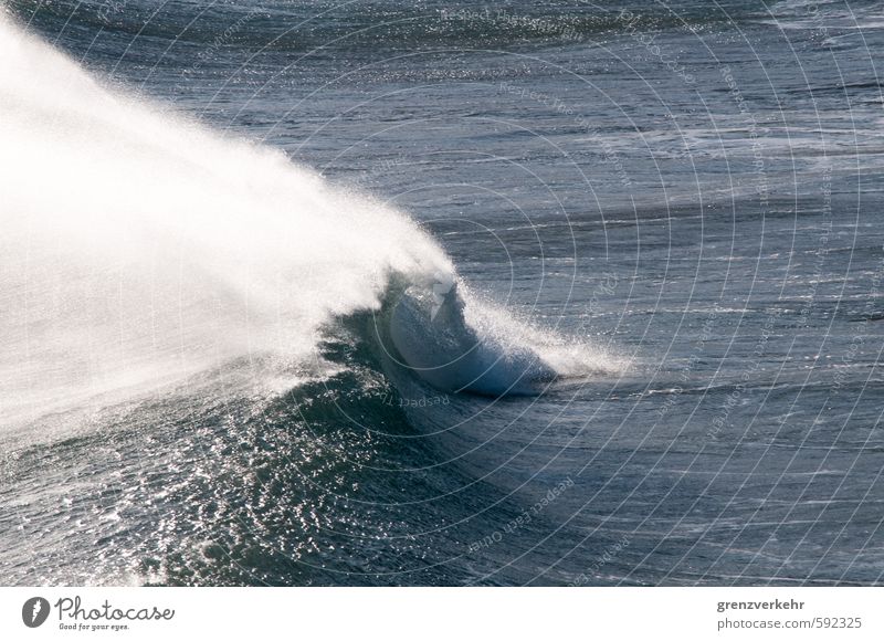 Wellenmonster Wasser Sturm Küste Meer Mittelmeer Respekt Kraft tosend Wellenbruch Wellengang Farbfoto Außenaufnahme Menschenleer Textfreiraum rechts