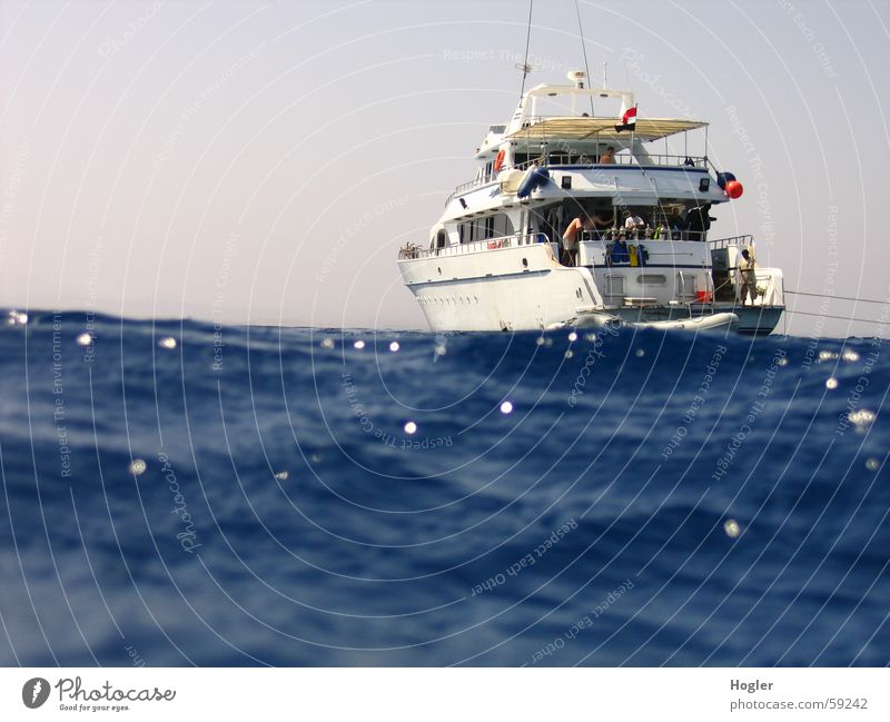 Abgetrieben tauchen Meer Wasserfahrzeug Ägypten Safari Ferien & Urlaub & Reisen auf hoher see