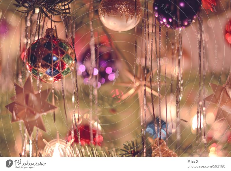 Papas Weihnachtsbaum Weihnachten & Advent Baum glänzend Baumschmuck Christbaumkugel Stern (Symbol) Tannenzweig Weihnachtsdekoration Weihnachtsbeleuchtung