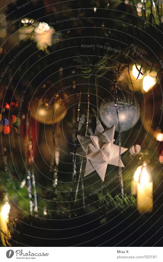Fröbelstern Dekoration & Verzierung Weihnachten & Advent glänzend leuchten Weihnachtsbaum Weihnachtsdekoration Baumschmuck Weihnachtsbeleuchtung Stern (Symbol)
