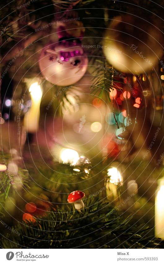 Pilz Dekoration & Verzierung Weihnachten & Advent Baum glänzend leuchten Weihnachtsbaum Baumschmuck Weihnachtsdekoration Glaskugel Weihnachtsbeleuchtung