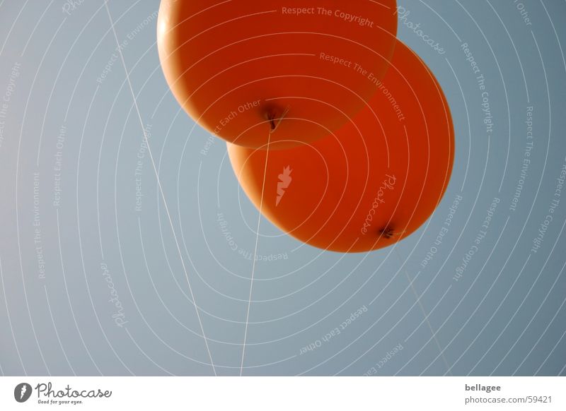 Wo ist er hin? Schnur angekettet Lebensfreude Luftballon fliegen Froschperspektive Gummi blau orange Freude Himmel Luftverkehr Seil aufwärts Knoten