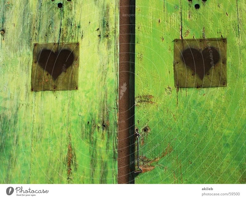 Liebestür grün Fenster Holz 2 Anstrich Außenaufnahme ausgebleicht Frankreich Fensterladen mehrfarbig Fröhlichkeit offen ruhig Kratzer Reflexion & Spiegelung Tür