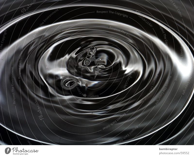 sad waters Wassertropfen Wellen Makroaufnahme schwarz weiß Kreis konzentrische kreise Reflexion & Spiegelung drop wave circle black white Schwarzweißfoto