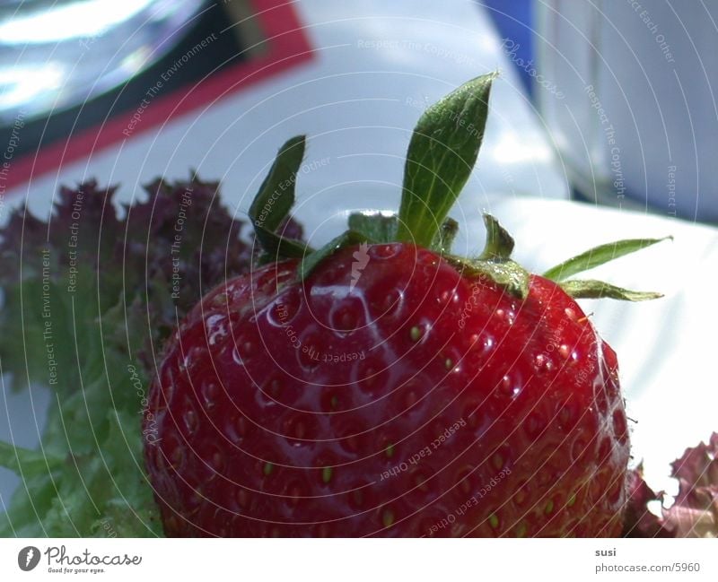 Erdbeere Ernährung Erdbeeren Frucht