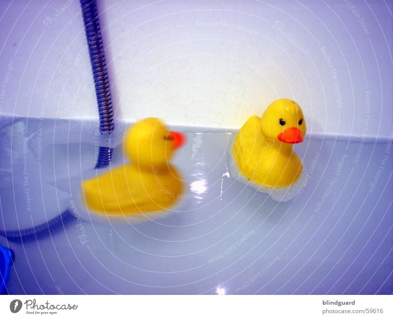 komm spielen Badeente Badewanne gelb Spielzeug Spielen Ente Schwimmen & Baden blau Wasser duck water bathing bathroom toy rubberduck Im Wasser treiben