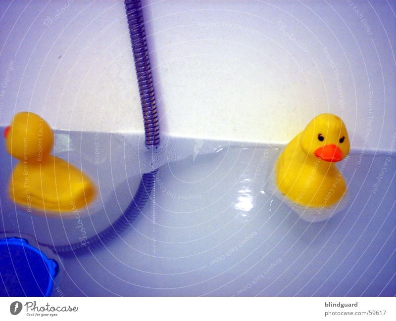 ich sag's der mama Badeente Badewanne gelb Spielzeug Spielen Ente Schwimmen & Baden blau Wasser duck water bathing bathroom toy rubberduck Im Wasser treiben