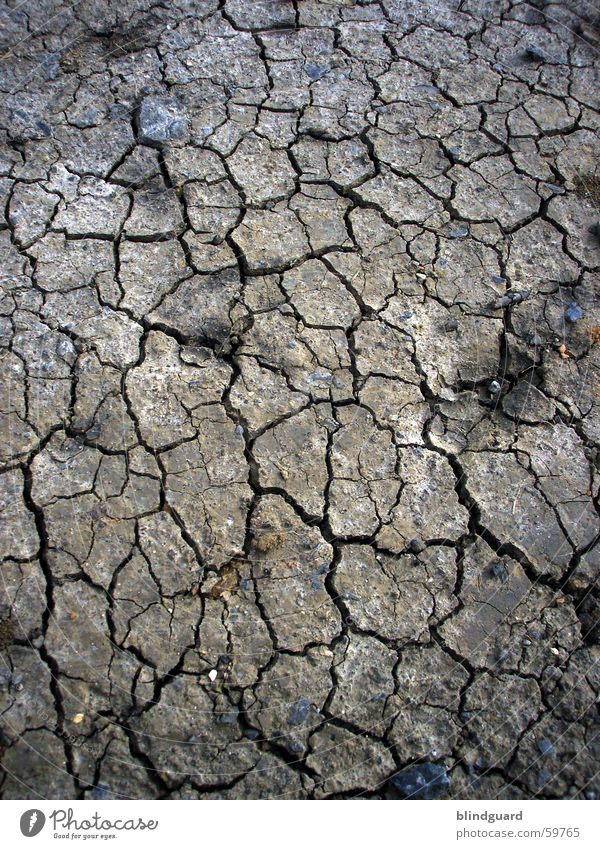 Dry And Dirty trocken Dürre porös Feld Wüste Sommer Erde Sand klumpen wassermangel gebrochen dreckig trist