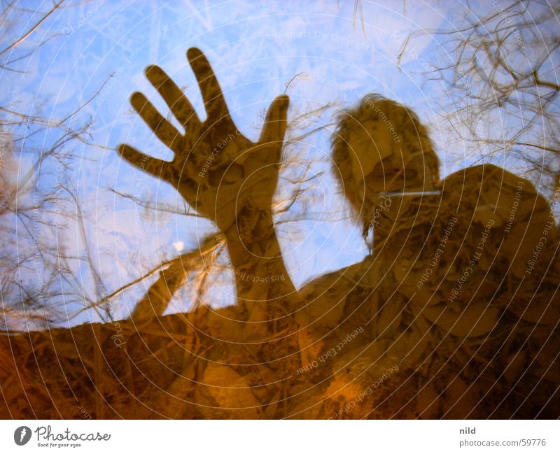 Spieglein, Spieglein... Reflexion & Spiegelung Wasseroberfläche Hand Aufenthalt Warnung Blatt abstrakt Kontrast Bach Silhouette Himmel stoppen Bodenbelag