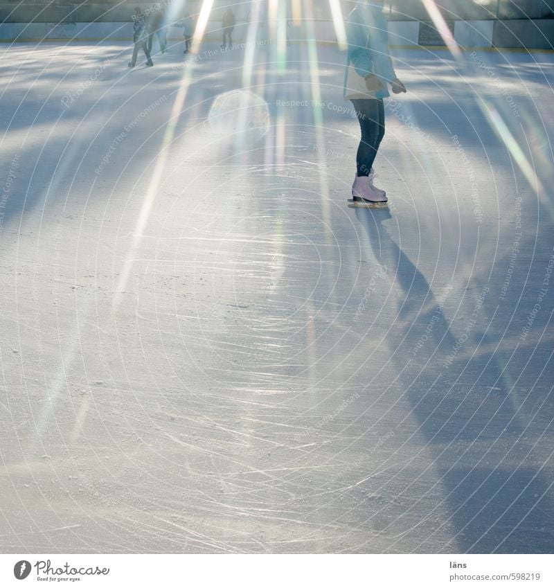 Eislauf Sport Mensch Leben Winter Schönes Wetter Frost Linie Bewegung glänzend laufen Lebensfreude Liebe Zufriedenheit kalt Leichtigkeit Leistung