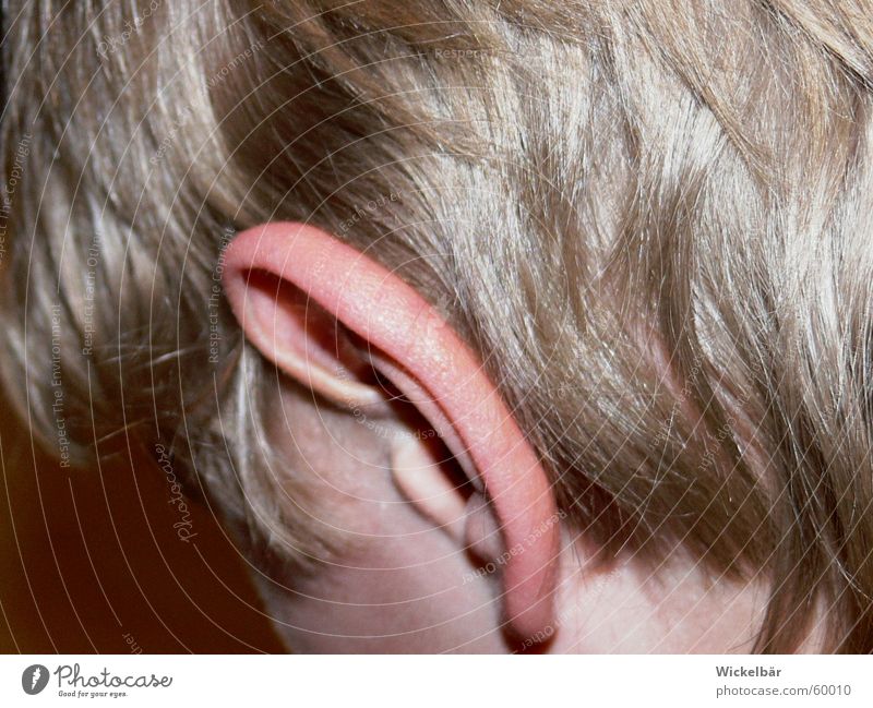 ich bin ganz Ohr..... hören Information blond Sinnesorgane Haare & Frisuren Kopf Erzählung Interesse