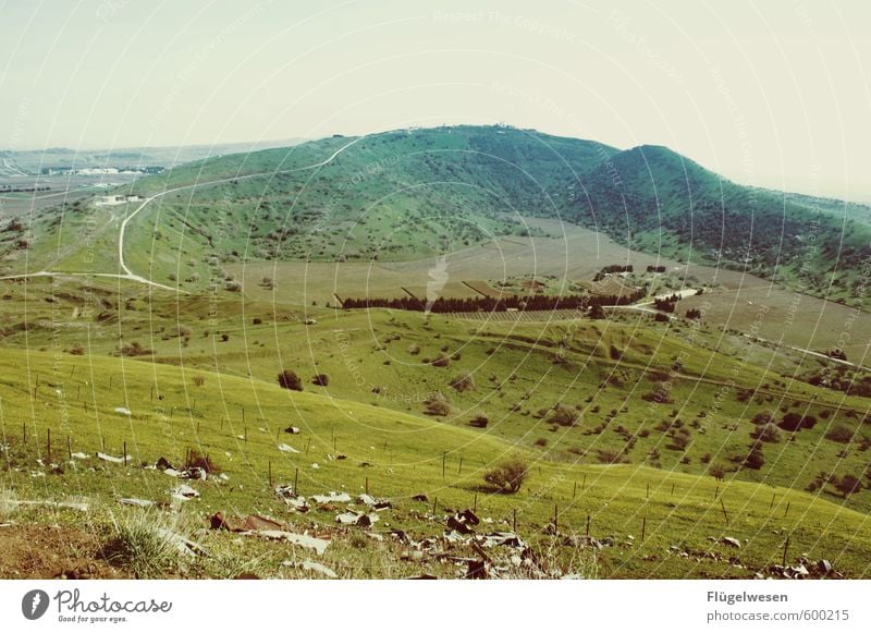 Golanhöhen Ausflug Abenteuer Ferne Freiheit Umwelt Natur Landschaft Pflanze Klima Klimawandel Wetter Wiese Hügel Berge u. Gebirge Israel