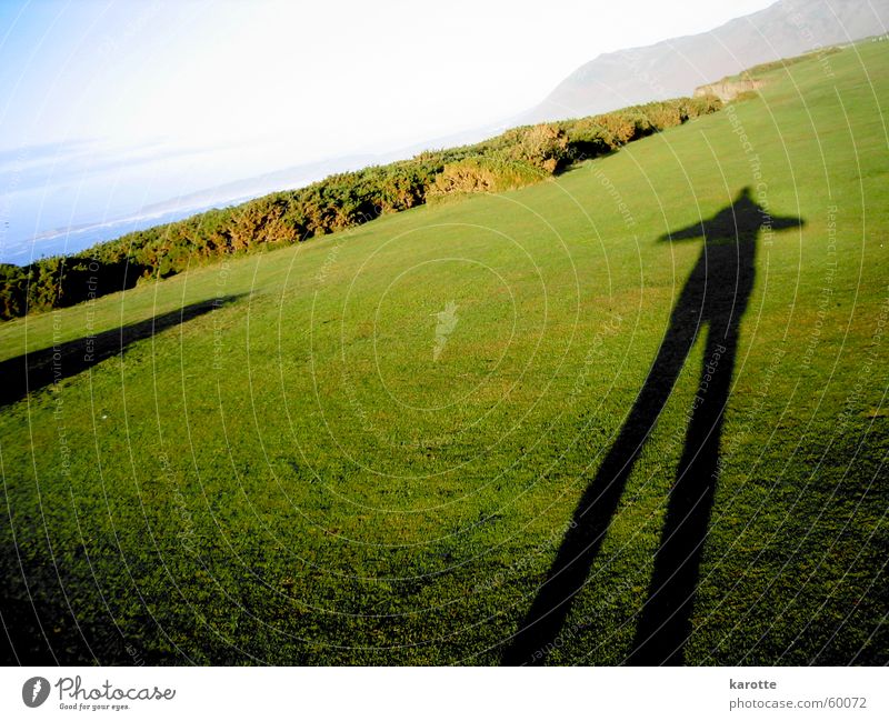 shadow on the grass groß Wales Gras stagnierend standhaft Schatten Halbinsel Gower selbstbild