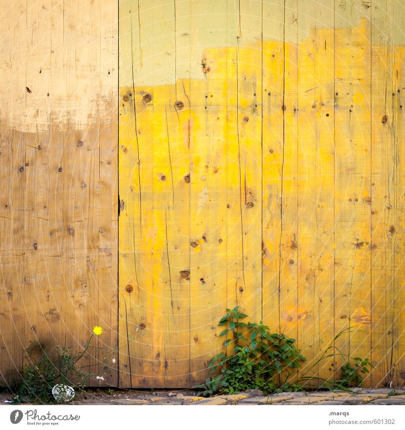 AnWANDlung Anstreicher Sträucher Mauer Wand Holz einfach hell gelb Farbe Holzwand Hintergrundbild Farbfoto Außenaufnahme Strukturen & Formen Menschenleer