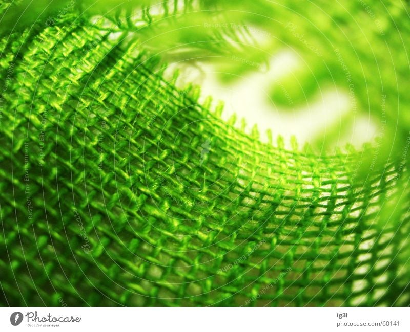 plastewiese 2 Wiese weich Kraft gesättigt mehrfarbig Gras Halm grün Farbton Rolle Meter Vorrat Halt fest beweglich leer weiß gewebt aufeinander untereinander