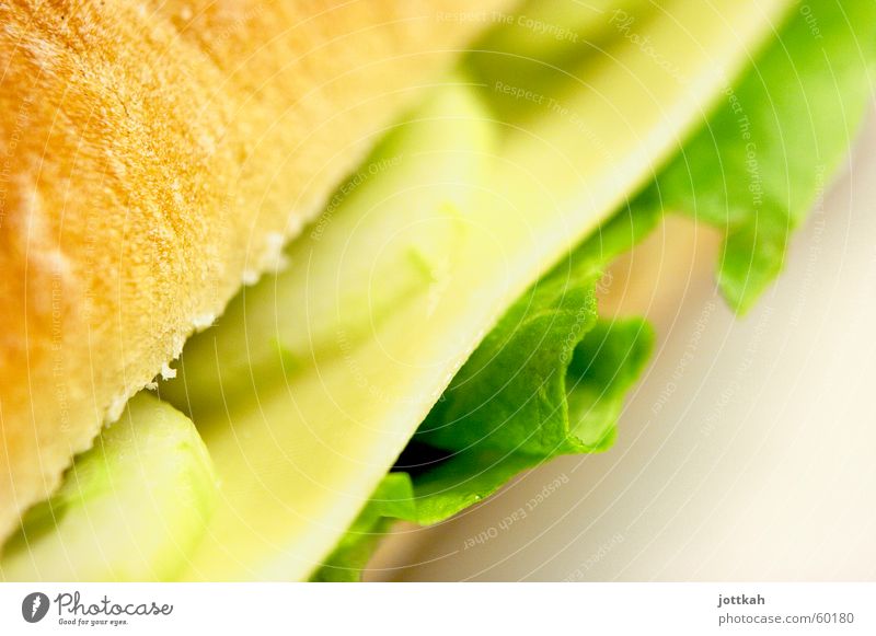 lecker Brot Lebensmittel Käse Gemüse Salat Salatbeilage Brötchen Ernährung Vegetarische Ernährung grün genießen Belegtes Brot belegen Stulle Scheibe Käsebrot