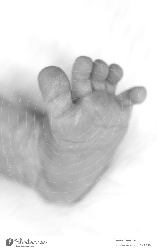 Baby Toes neugeboren Kind Zehen zart Fuß Barfuß