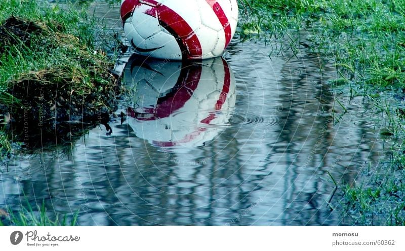 ...ins Wasser gefallen Gras Reflexion & Spiegelung Ball Wasserspiegelung Pfütze matschig Fußball 1 Menschenleer Außenaufnahme Farbfoto nass