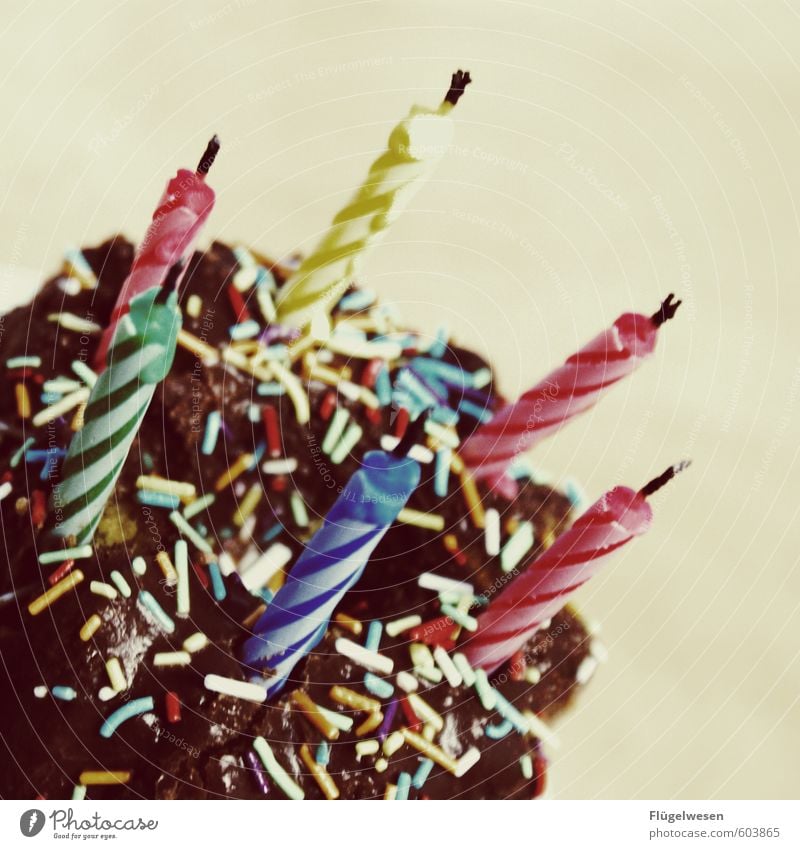 zum 900. Lebensmittel Teigwaren Backwaren Kuchen Dessert Süßwaren Ernährung Essen Kaffeetrinken Büffet Brunch Festessen Gesundheit Diät füttern Geburtstag