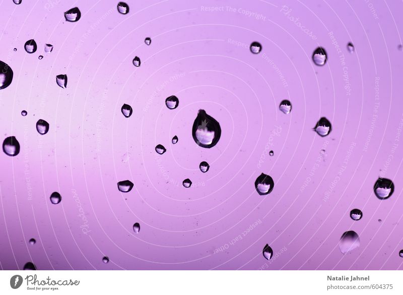 Wassertropfen Tropfen violett Wahrheit authentisch Traurigkeit Trauer Mittelpunkt Stimmung Hintergrundbild Farbfoto Innenaufnahme Makroaufnahme Experiment