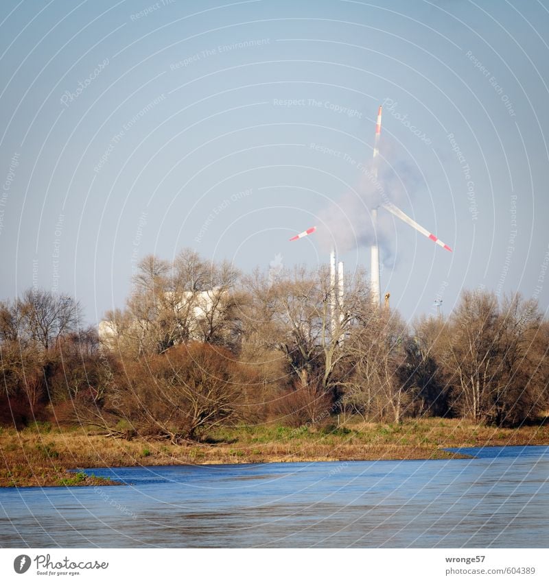 Dampfquirl Energiewirtschaft Erneuerbare Energie Windkraftanlage Industrie Himmel Baum Sträucher Flussufer Elbe blau industriell Schornstein Abgas Rauchgas